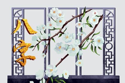 在线排盘的便利与边界