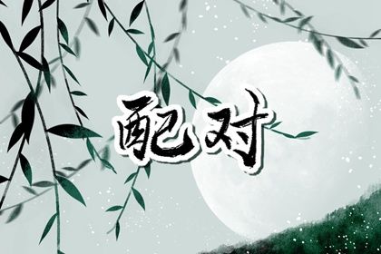 纳音配对：比和、相生与平衡